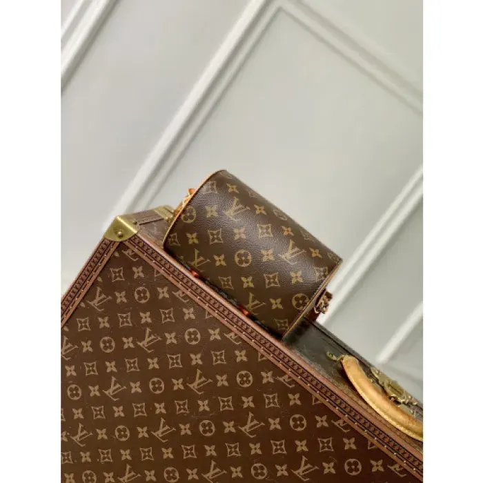 Louis Vuitton Bag, alternate view