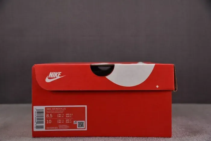 Nike Air Max Plus Black Blue Red Dz4509-001, alternate view
