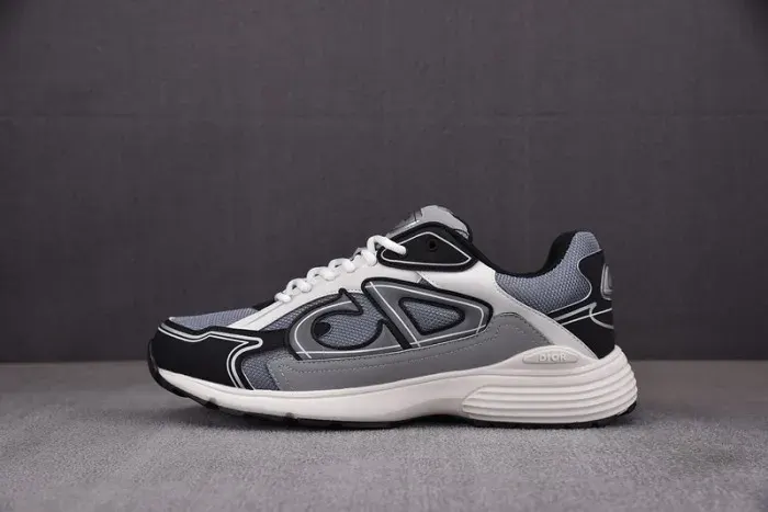 Dior Sneaker