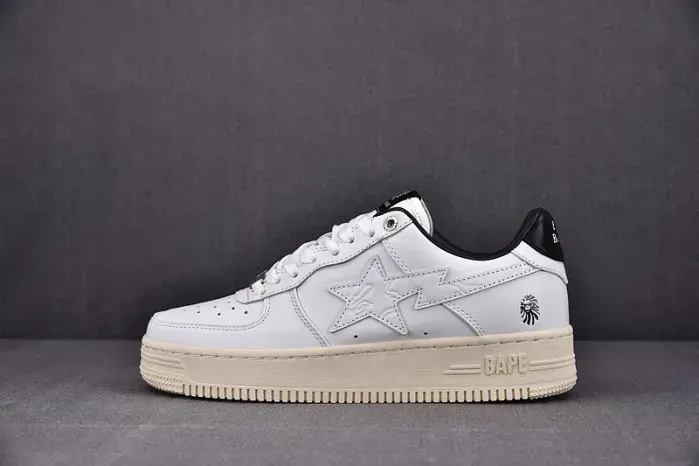 Bape Shoe