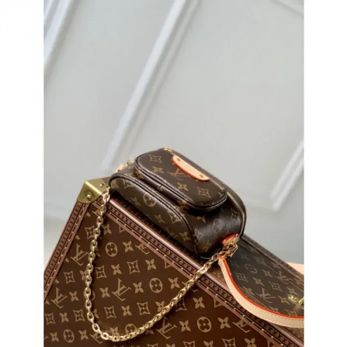 Louis Vuitton Bag, alternate view