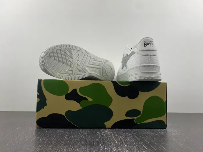 Bape Shoe, alternate view