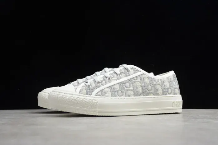 Dior Sneaker, alternate view