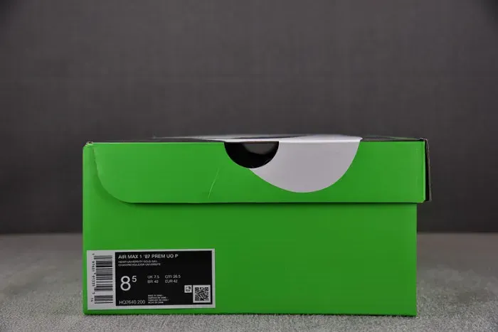 Nike Air Max 1 '87 Prem1Vm University Of Oregon Pe (2024) Hq2640-200, alternate view