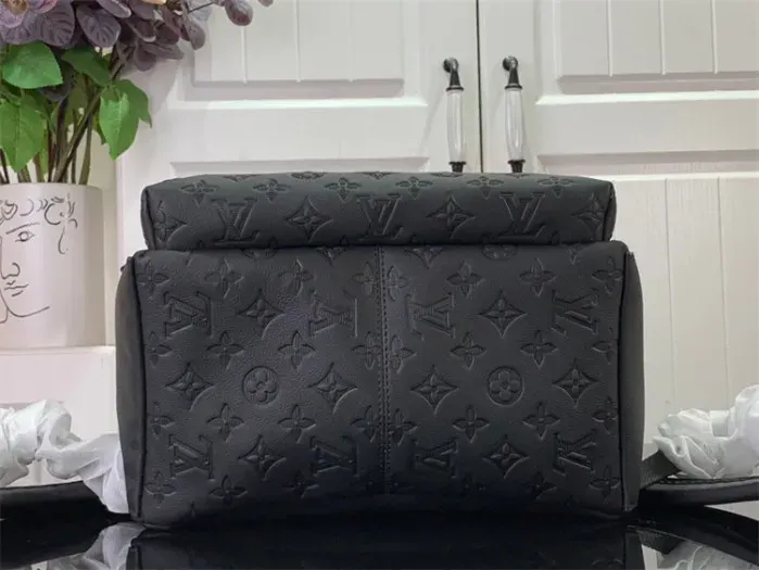 Louis Vuitton Bag, alternate view