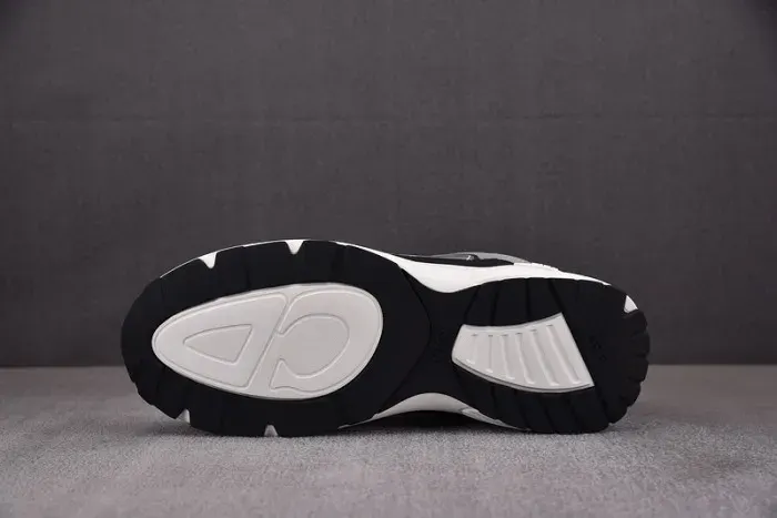 Dior Sneaker, alternate view