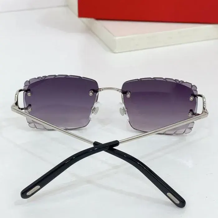 Cart1Er Sunglasses, alternate view