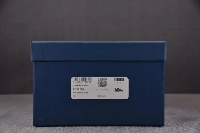 Dior B57 Low Sneaker, alternate view