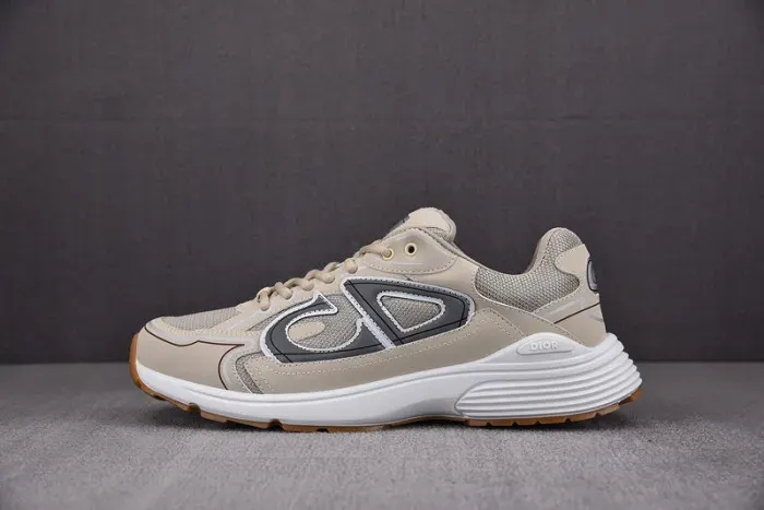 Dior Sneaker