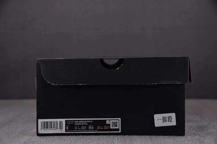 Air Jordan 1 Mule Golf Bred Fj1214-001, alternate view