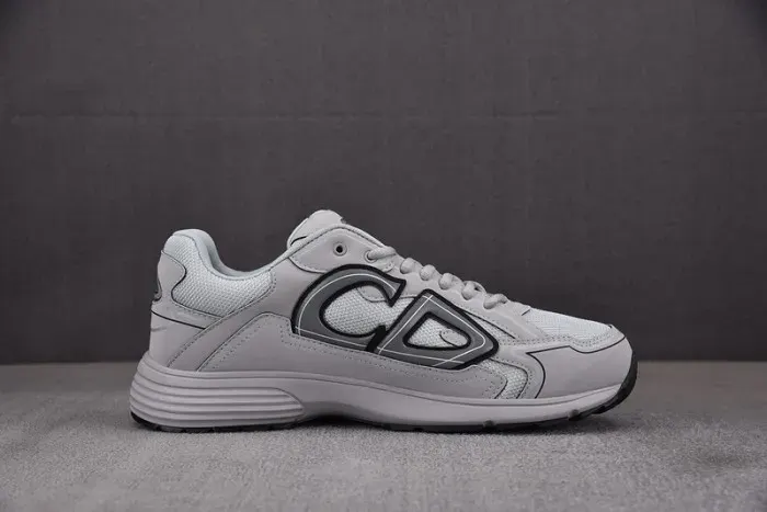 Dior Sneaker, alternate view