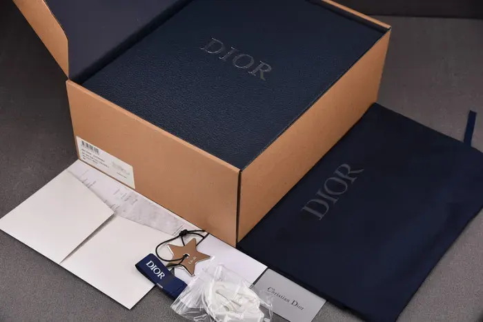 Dior B27 Low Sneaker, alternate view
