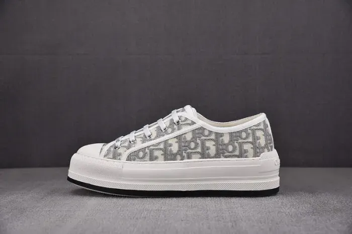 Dior Sneaker