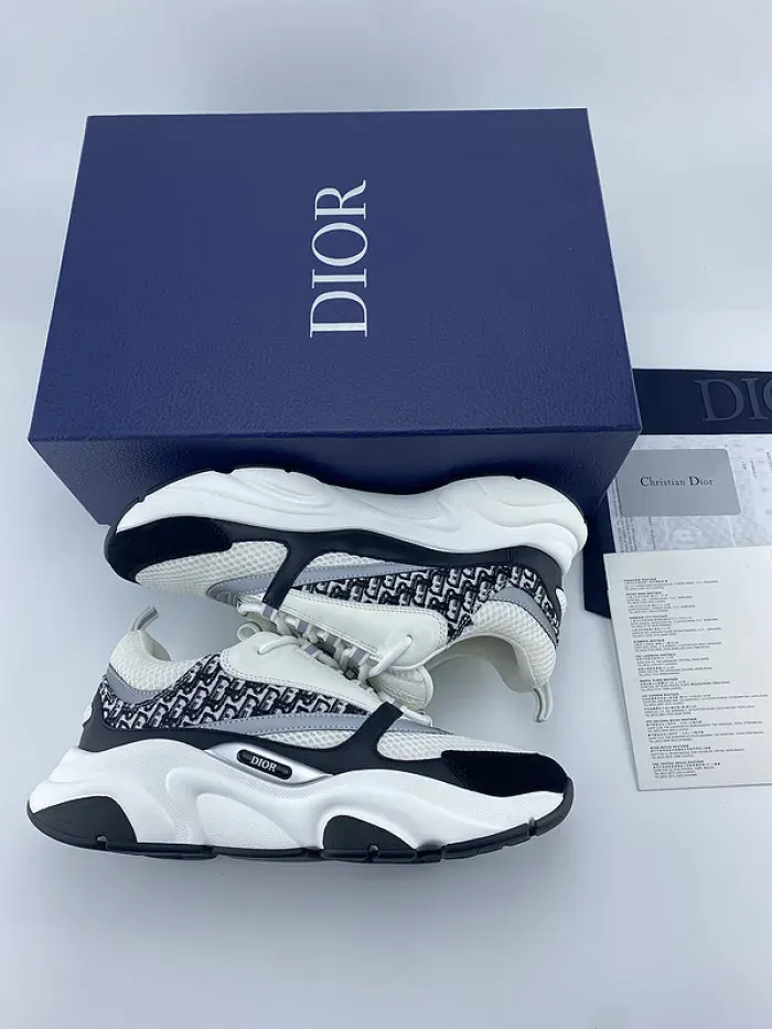 Dior Sneaker