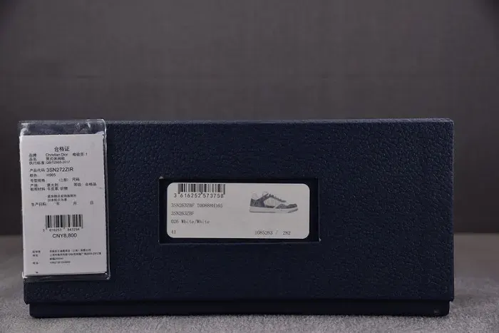 Dior B27 Low Sneaker, alternate view