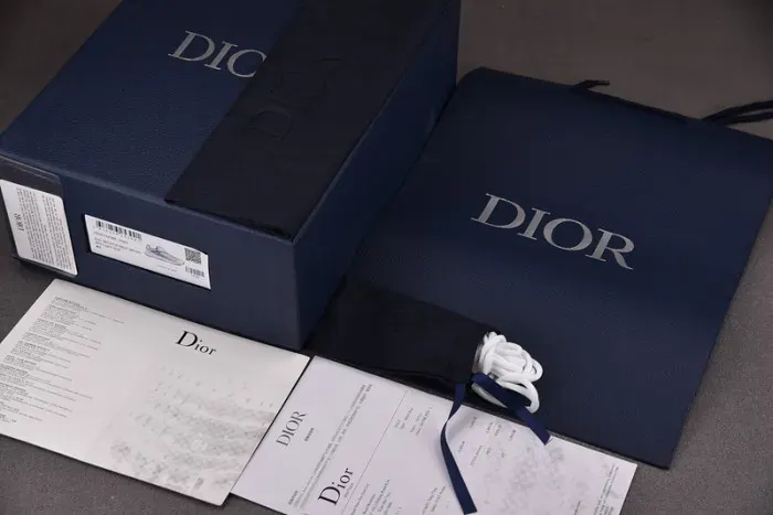 Dior Sneaker, alternate view