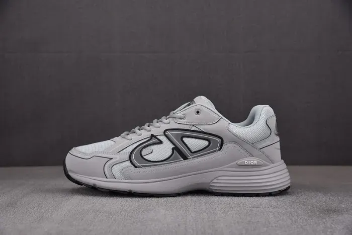 Dior Sneaker