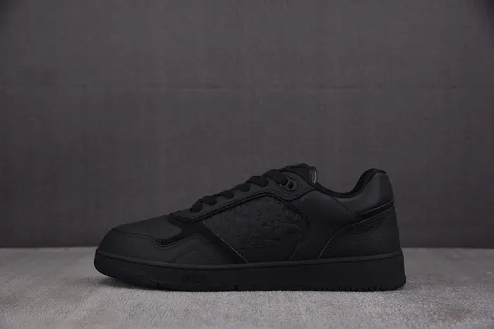 Dior B27 Low Sneaker