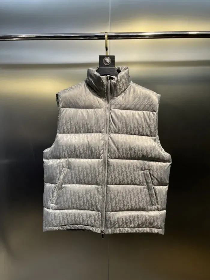 Dior Clothing (Gray)