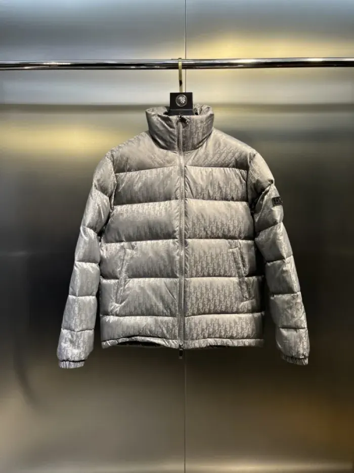 Dior Clothing (Gray)
